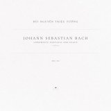 Johann Sebastian Bach, Bùi Nguyễn Triệu Tường - Chromatic Fantasia and Fugue, BWV 903: I. Fantasia