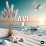 Igor Pumphonia - What Do I See