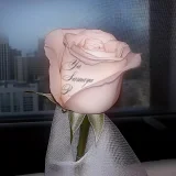 Lovesomemama - YA SAMAYA P