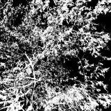 Silecut, Ineedrest - Лето