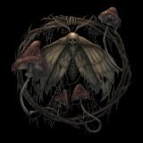 Лжедмитрий IV, Deep-eX-Sense - Что скрывает лес