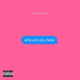 Machine Gun Kelly - why are you here