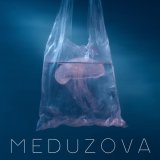 MEDUZOVA, Alfredovich - Цветы пустыни 2.0