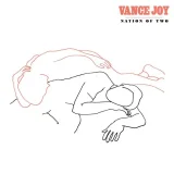 Vance Joy - Crashing into You