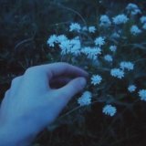 Money Flip - i'm so lonely but that's okay