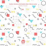 Fusion Groove Orchestra - If Only I Could (feat. Steve Lucas)