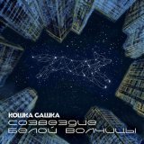 Кошка Сашка - Идеальный солдат